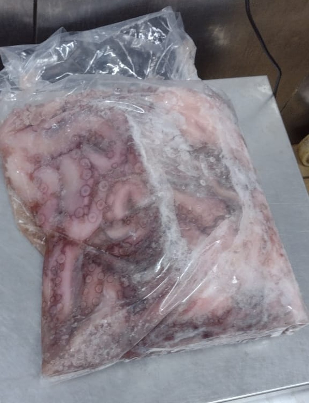 Procon RJ apreende mais de 180 kg de carne e frutos do mar vencidos em restaurante do Leblon — Foto: Divulgação