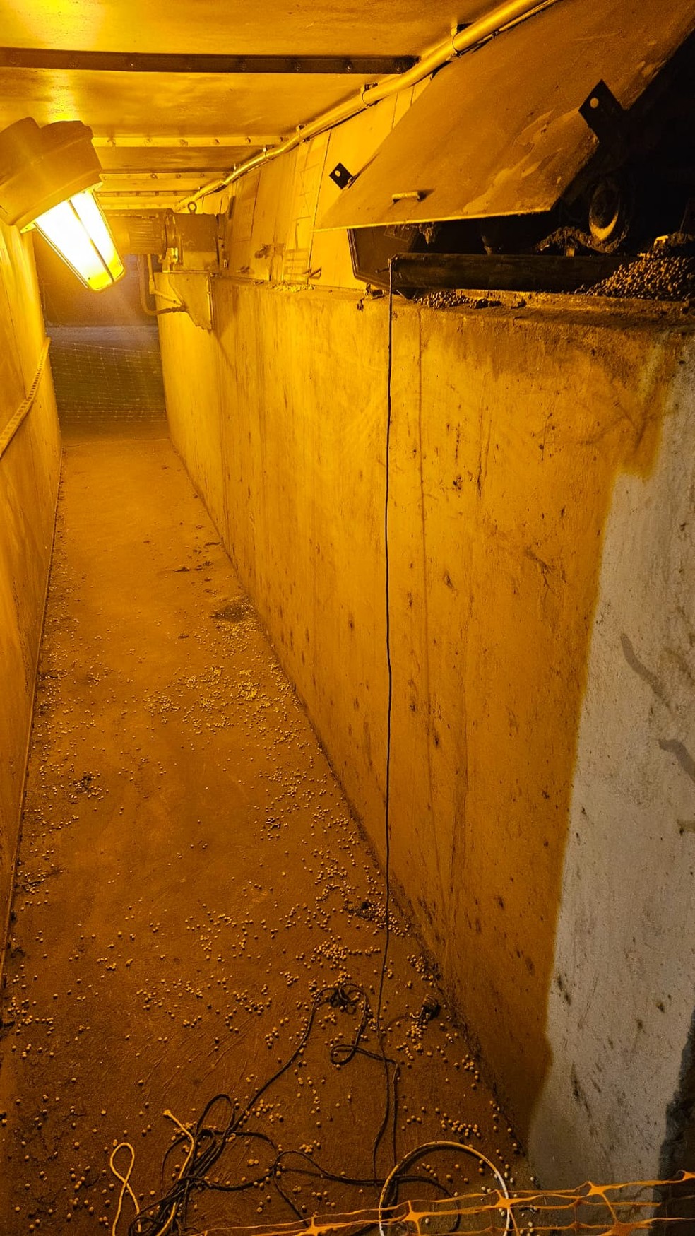 Fazenda de soja é invadida e polícia encontra bomba artesanal em silo de grãos no Sul do Piauí — Foto: Reprodução