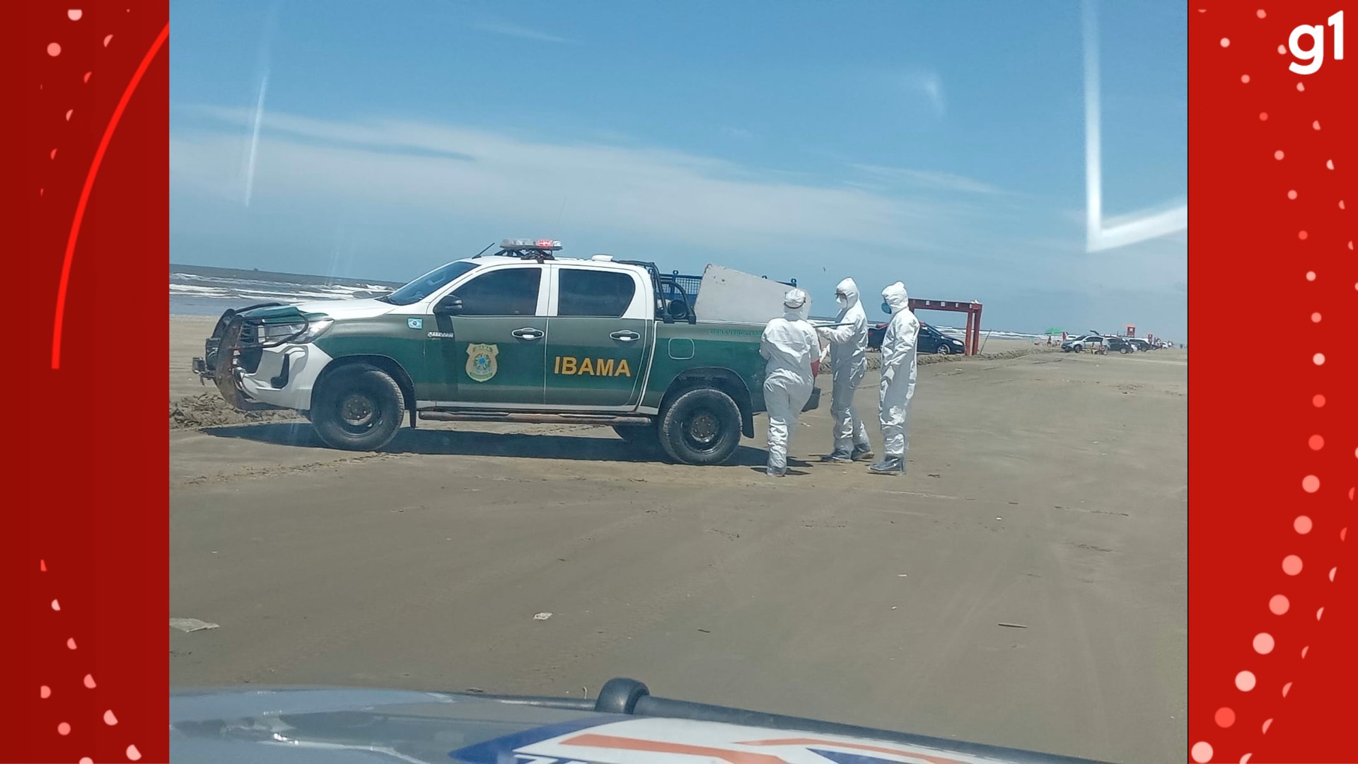Defesa Civil recolhe centenas de animais marinhos mortos em Santa Vitória do Palmar