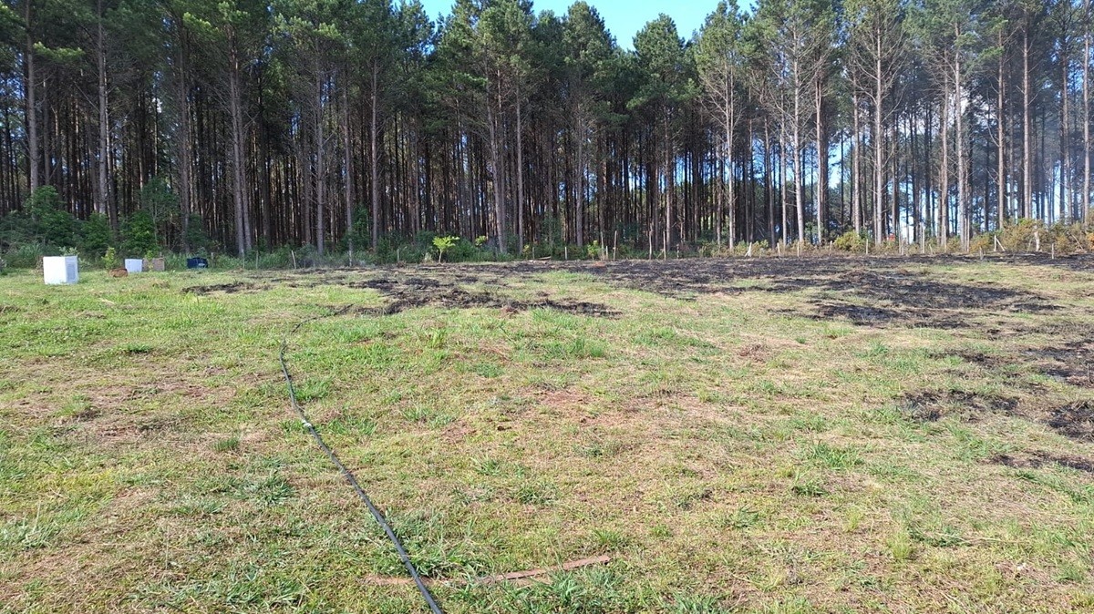 Você Não Tá Convidada pro Meu Bat Mitzvá!