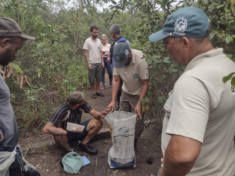 Inea e Segurança Presente detém Gabigol do Mangue e mais dois influencers por pesca ilegal de caranguejos em Niterói