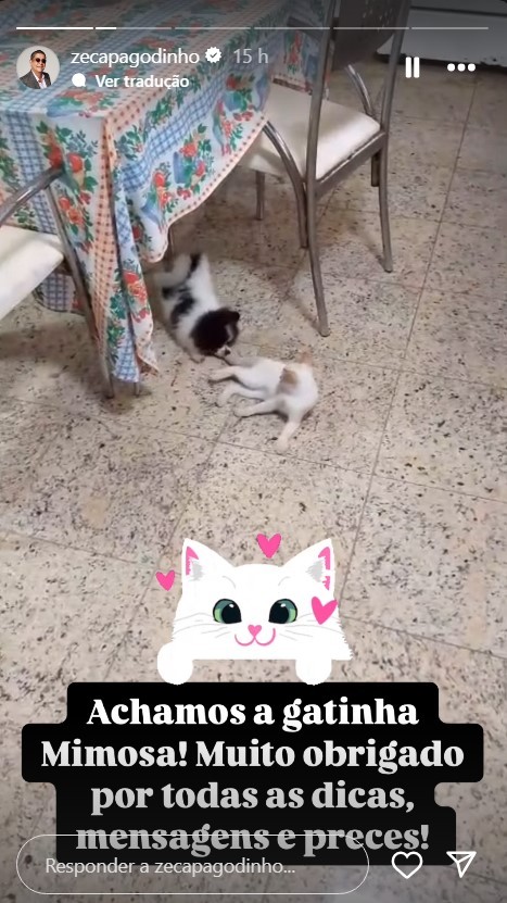 Mimosa voltou! Gata de Zeca Pagodinho é encontrada 