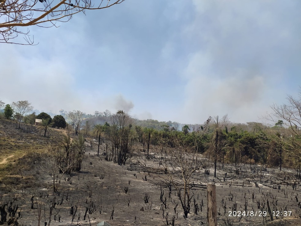 Zona rural de município no Tocantins devastada pelas chamas — Foto: Prefeitura de Centenário/ Divulgação