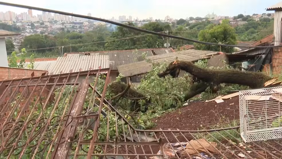 Estragos causados pela chuva em Londrina — Foto: RPC
