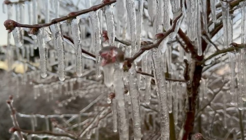 Com onda de frio, cidades do RS registram temperaturas negativas