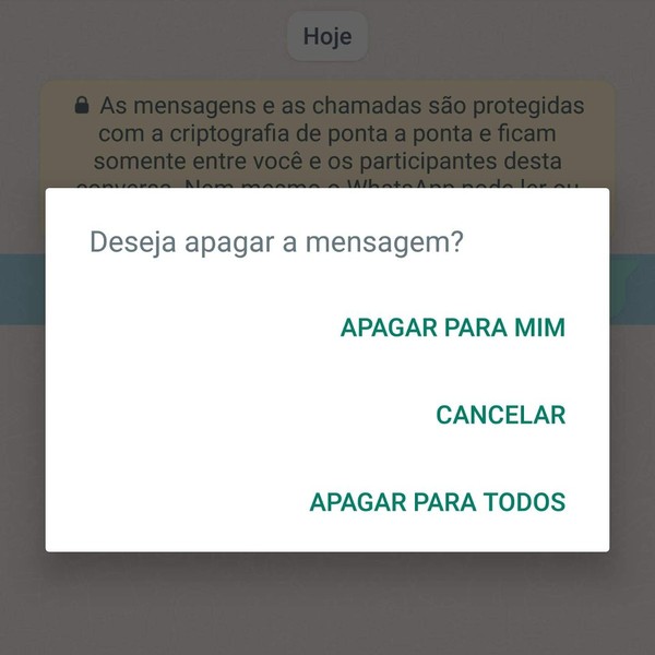 apagar mensagens no Whatsapp