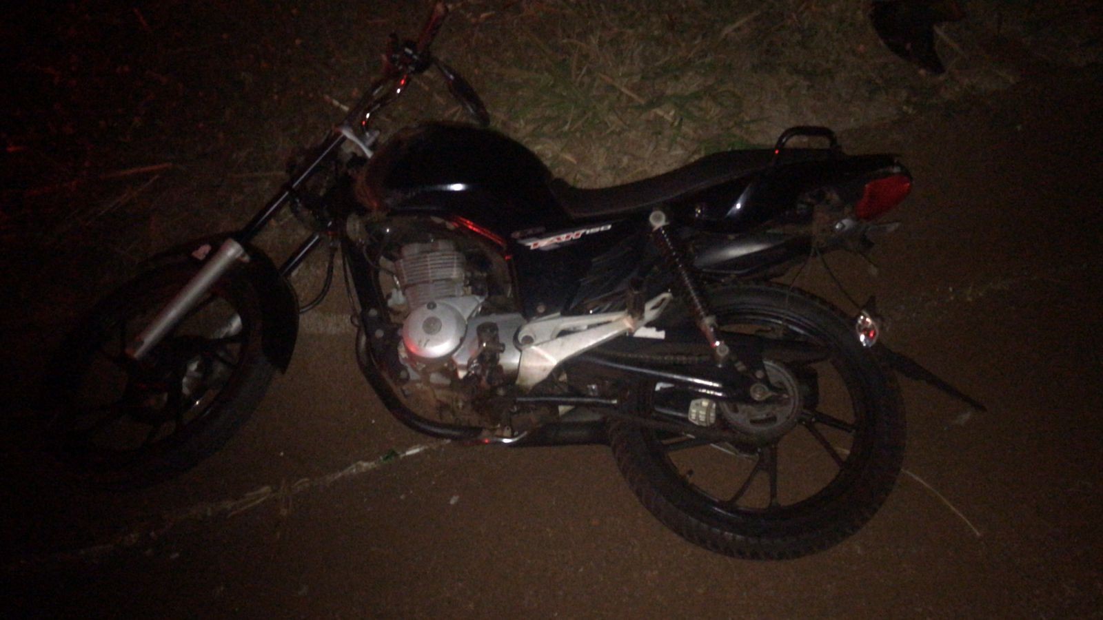 Motociclista morre após atropelar égua e filhote em rodovia de Pontal, SP