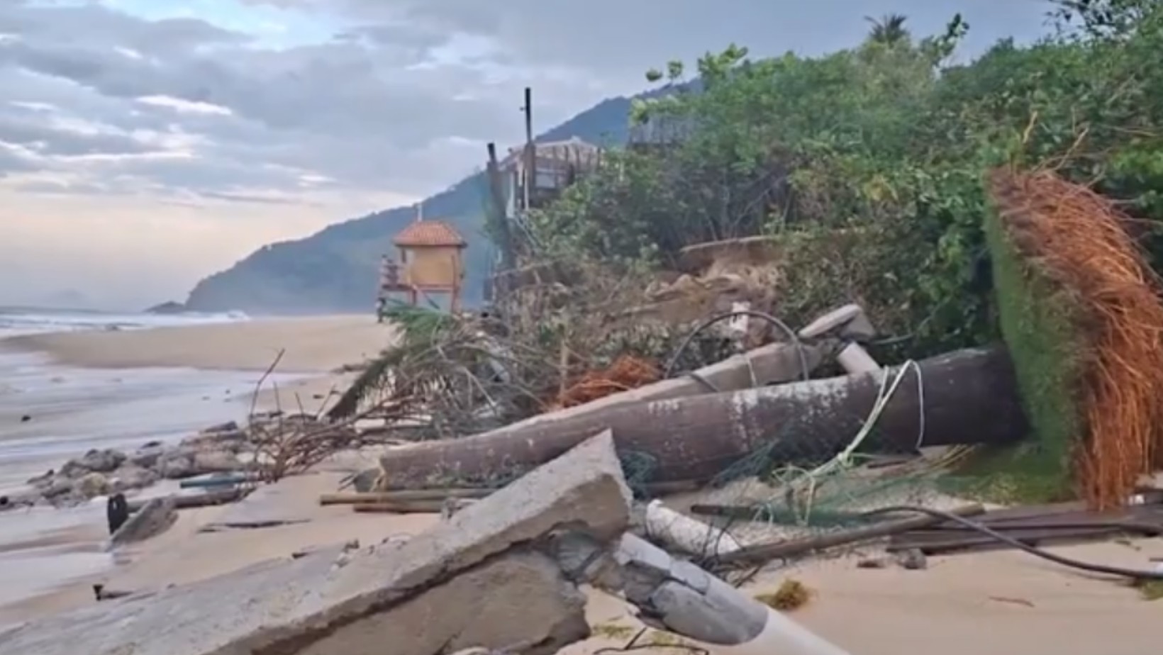 Força do mar derruba muro e arrasta coqueiro na Praia de Maresias, em São Sebastião