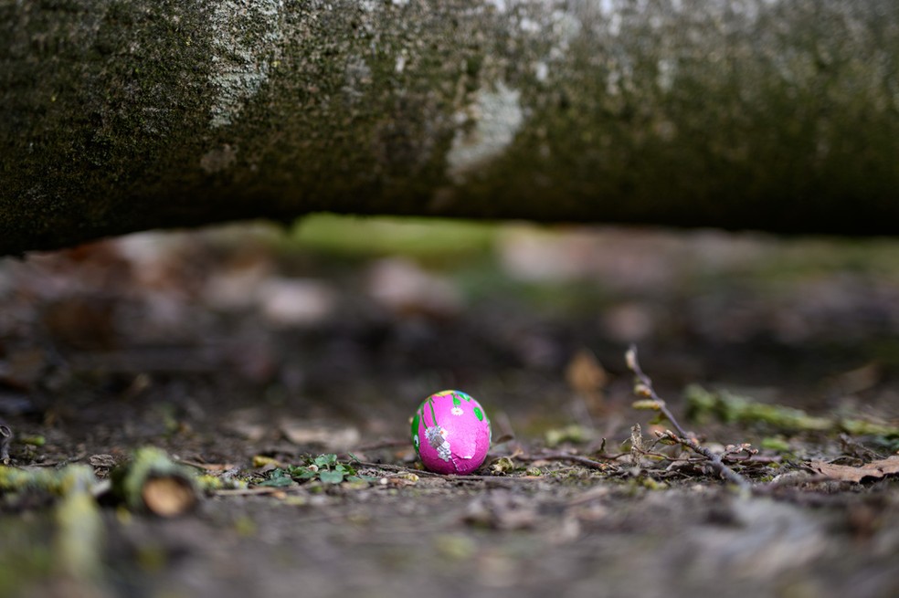Um ovo de P&aacute;scoa de chocolate est&aacute; sob uma &aacute;rvore ca&iacute;da em uma &aacute;rea arborizada ao sudeste de Flensburg, Alemanha, no domingo, 5 de abril de 2026. &mdash; Foto: Daniel Reinhardt/dpa via AP