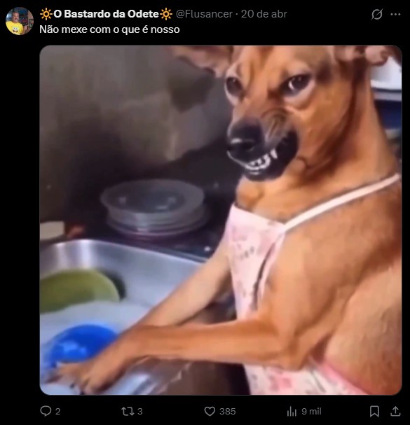 México reconhece 'cachorro caramelo' como raça mexicana e provoca reação de brasileiros nas redes sociais