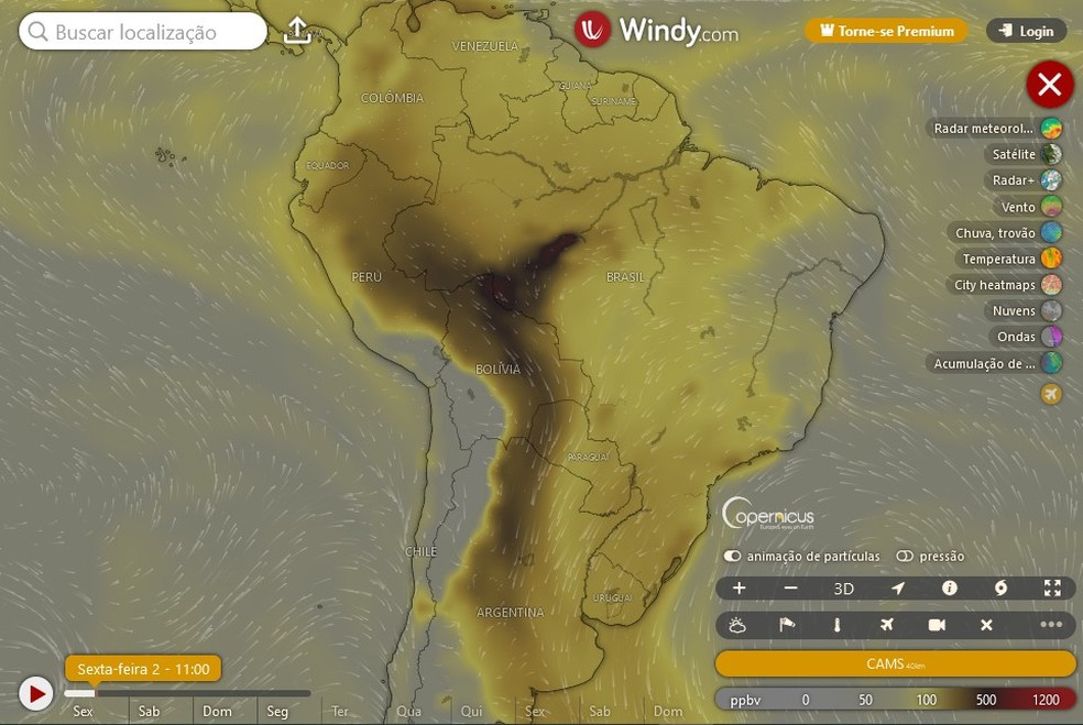 Imagem de satélite mostra concentração de CO — Foto: Windy/Mapa/Reprodução