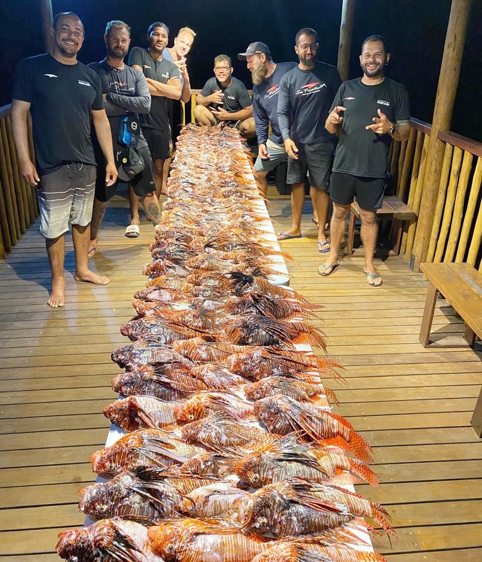 Equipe reponsável pela captura do peixe-leão — Foto: Sea Paradise/Divulgação