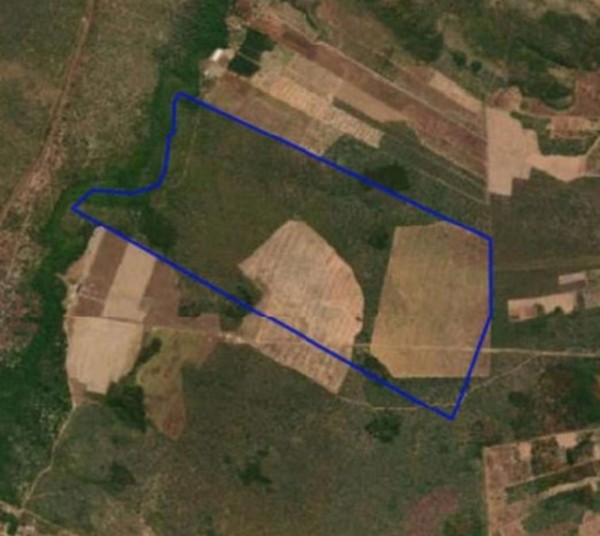 Fazenda de quase 360 hectares vai a leilão no Sul do Piauí; saiba como participar — Foto: Divulgação/Positivo Leilões