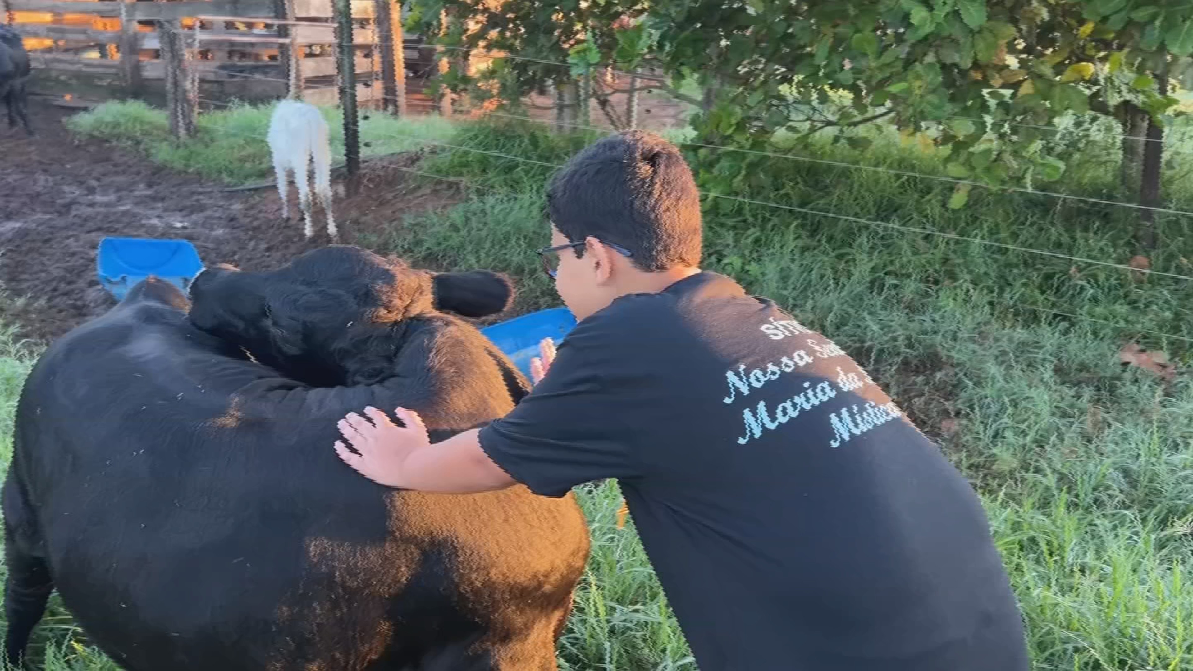 Dar nomes a animais é tradição na zona rural