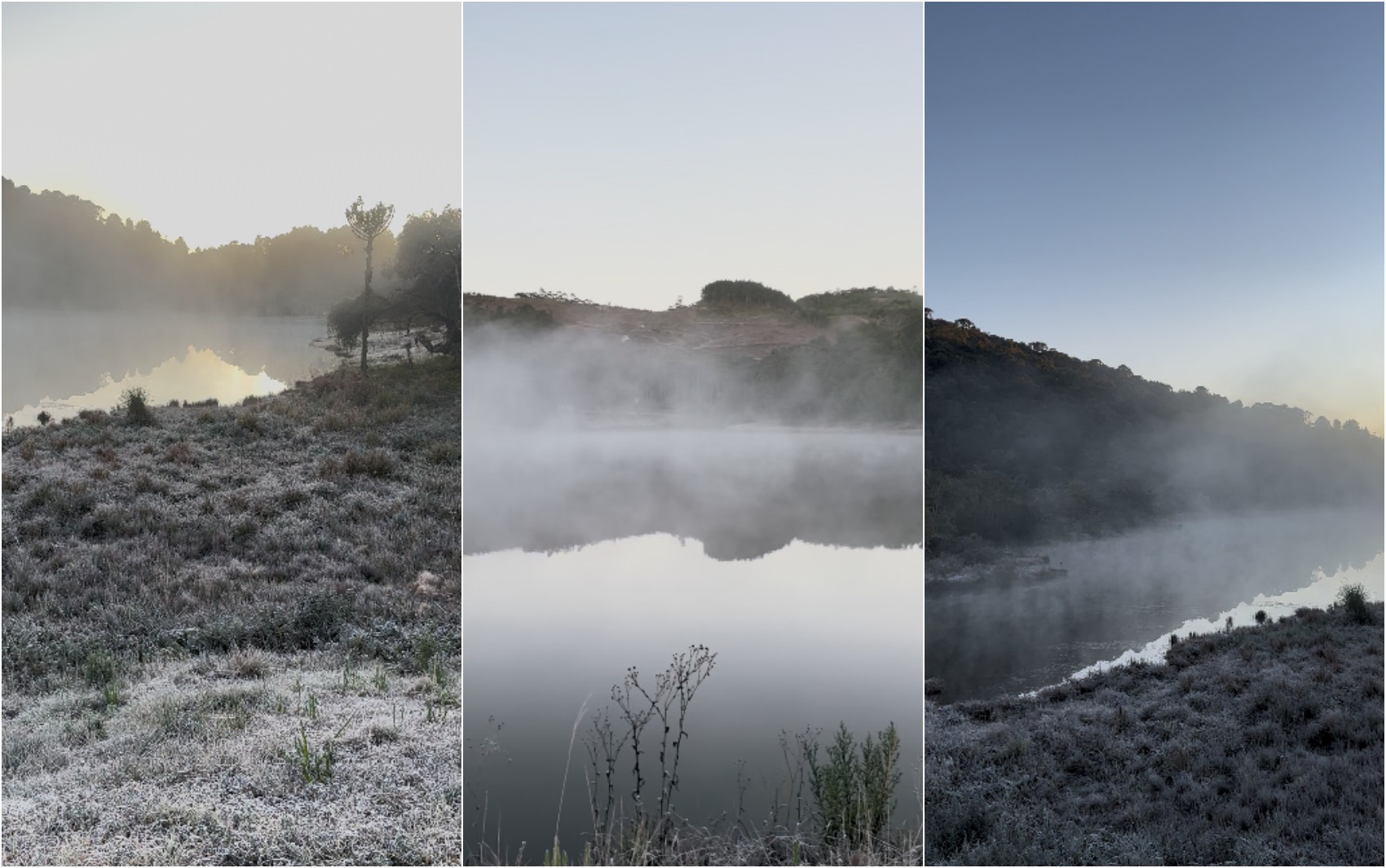 Geada e temperatura negativa criam paisagens de inverno pelo 2º dia seguido no Sul de Minas; veja FOTOS