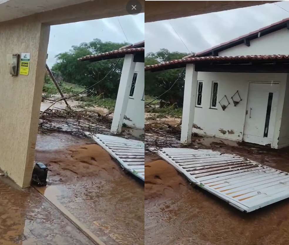 Gerente da Caixa Econômica morre ao tentar salvar cachorro durante temporal no Piauí — Foto: Reprodução