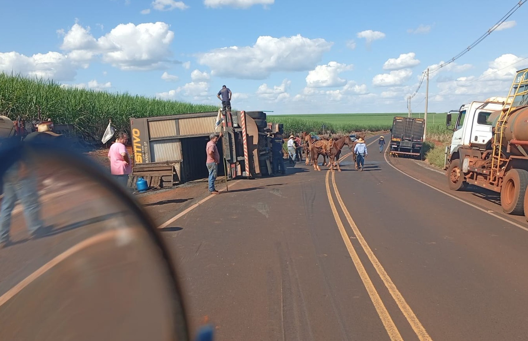 Caminhão carregado com gado tomba em estrada entre Barretos e Jaborandi, SP