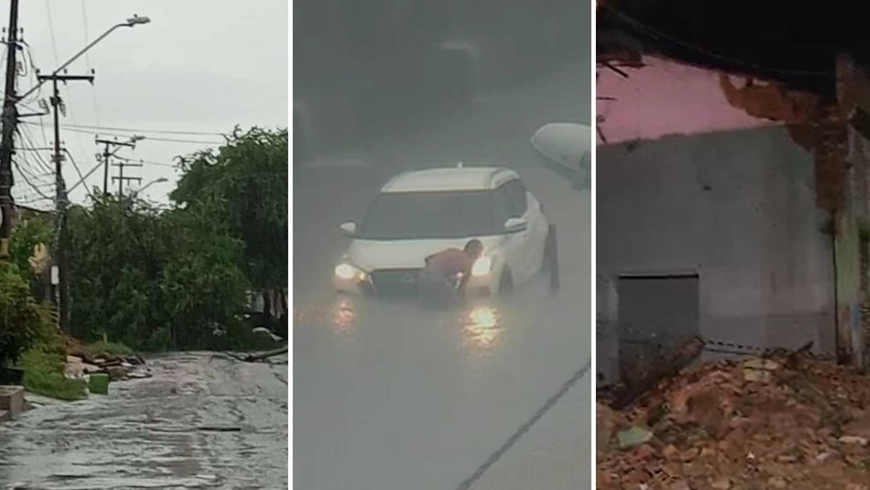 Árvore caída no bairro Henrique Jorge, carro preso na água na avenida Heráclito Graça e desabamento de casa no Centro — Foto: Reprodução