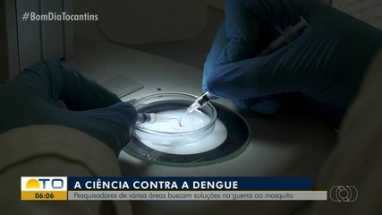 Pesquisadores de várias áreas buscam soluções contra a dengue