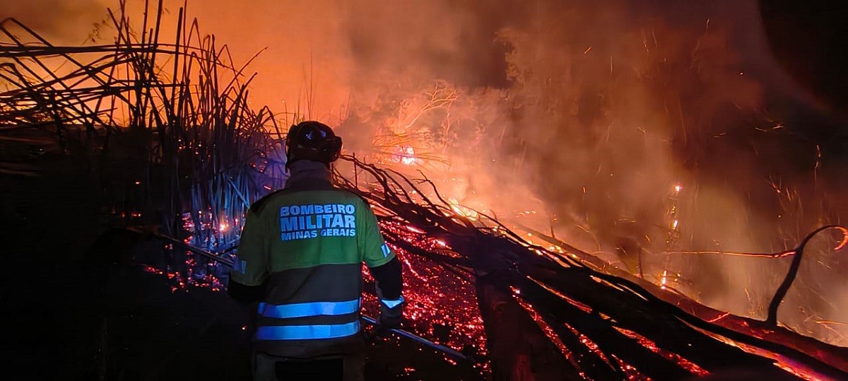Incêndio em bambuzal atrás do Seminário Santo Antônio foi causado por homem que soltava 'bombinhas' com o filho em Juiz de Fora