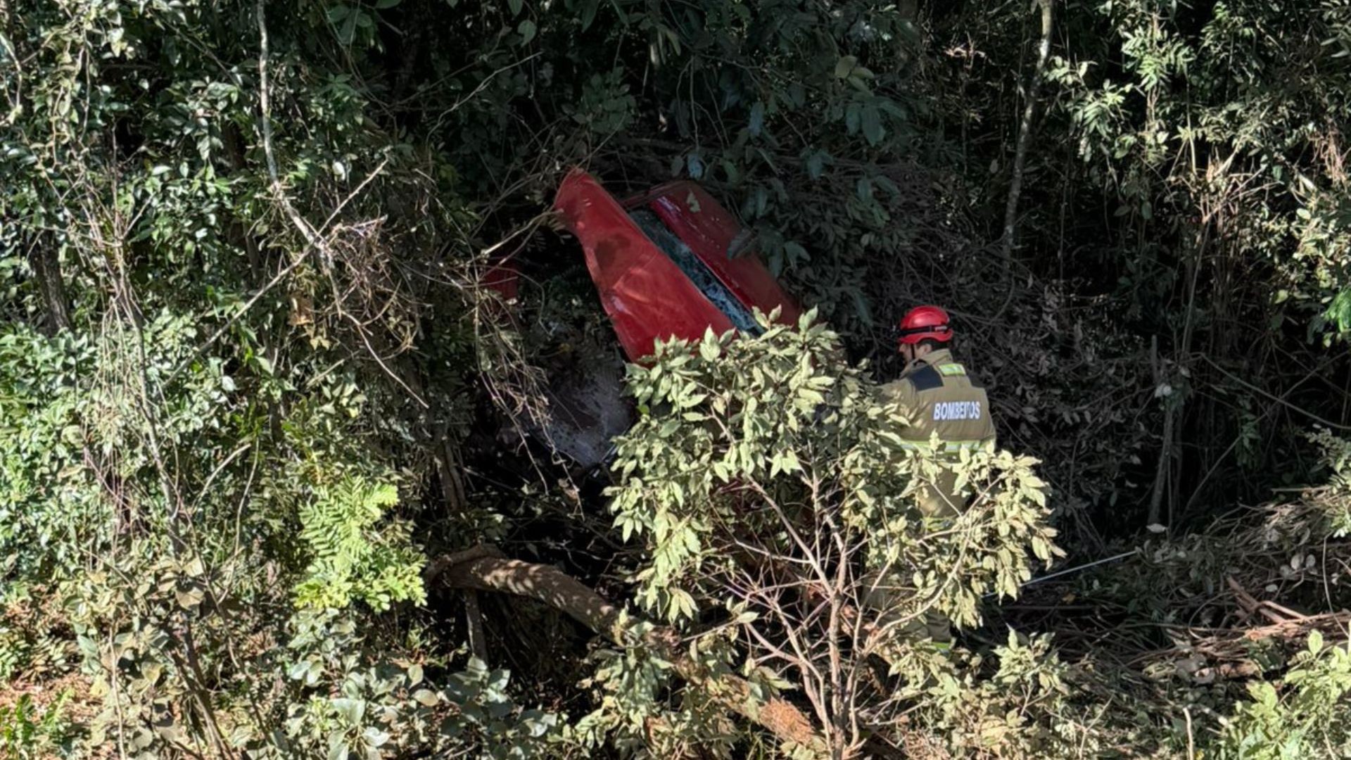 Caminhonete cai de ribanceira de 7 metros na MG-233, e motorista sai com ferimentos leves