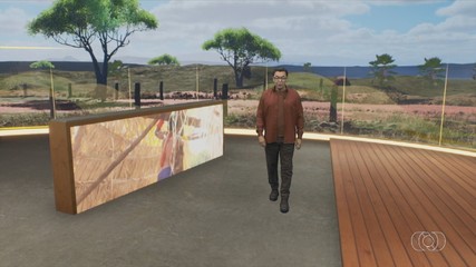 Confira os destaques do Jornal do Campo deste domingo (19)