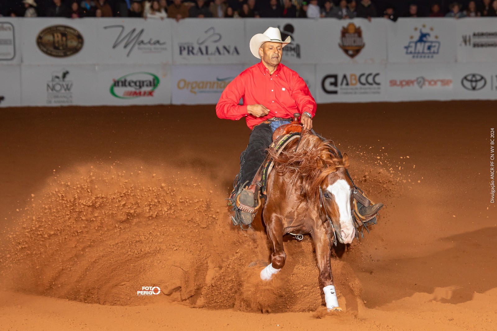 Campeonato Nacional de Rédeas reúne prêmio milionário, anel de ouro e leilão de ventres de éguas no interior de SP