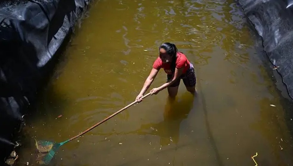 Em El Matazano, no Departamento de Morazán (leste de El Salvador), María del Carmen Portillo limpa o tanque que abastecia dezenas de famílias e onde havia criação de tilápias. Agora, não há peixes e a água é armazenada para usos prioritários. — Foto: AFP via Getty Images/BBC