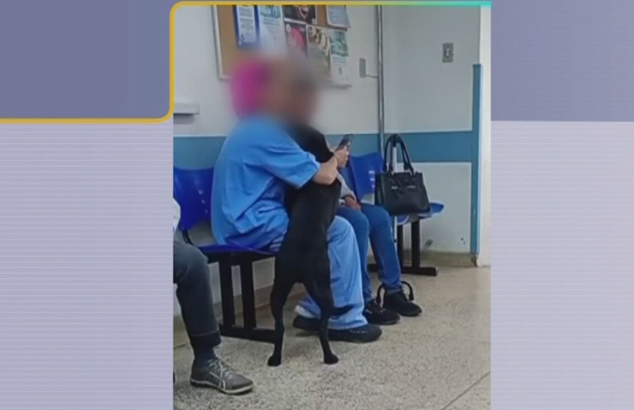 Funcionária é filmada brincando com cachorro dentro do CHS em Sorocaba; Estado abre sindicância