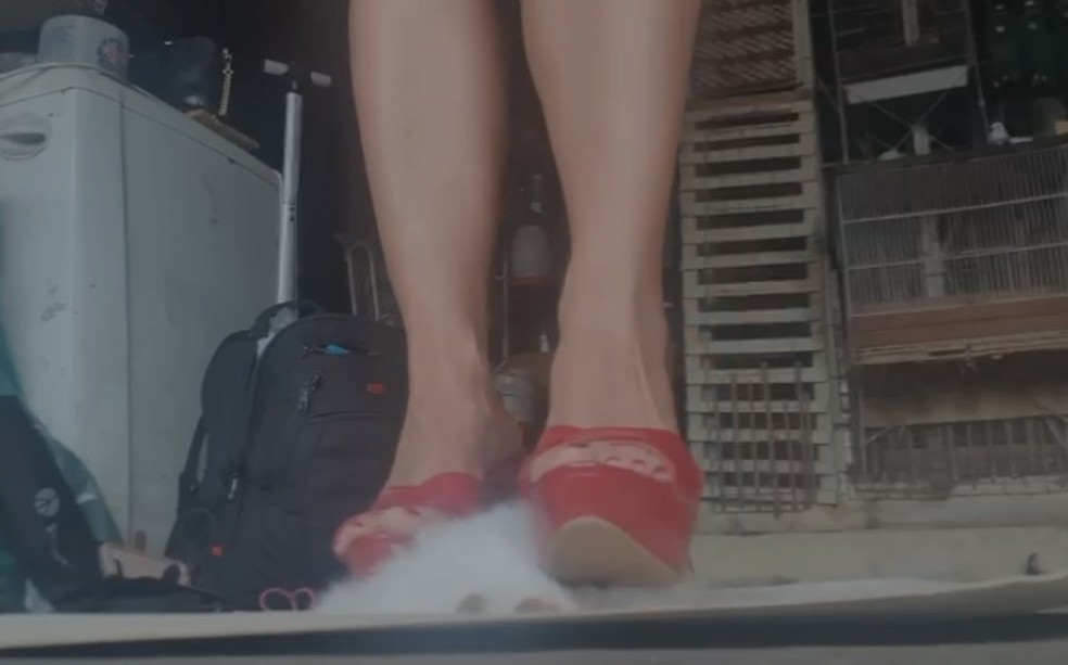 Daiana Schuinsekel de Almeida foi presa na casa dela nesta quinta-feira (8), acusada de maus tratos a animais e zoosadismo. — Foto: Reprodução/TV Globo