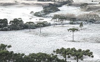 Inverno deve ter temperaturas acima da média; veja o que esperar para a estação