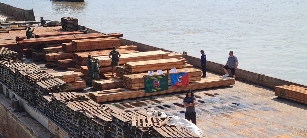 Madeira ilegal apreendida em Humaitá, no interior do Amazonas. — Foto: Divulgação