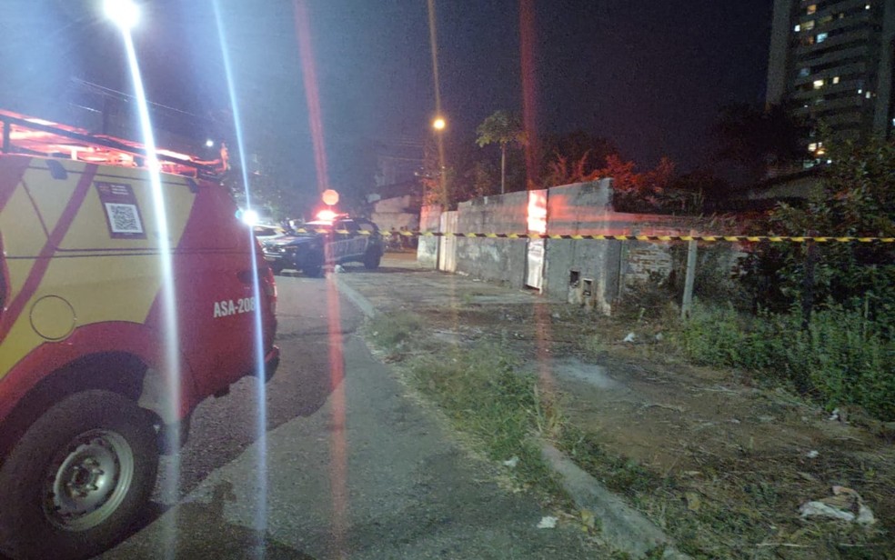 Cachorro que matou bebê atacou neném no colo da mãe, diz bombeiro — Foto: Divulgação/Corpo de Bombeiros