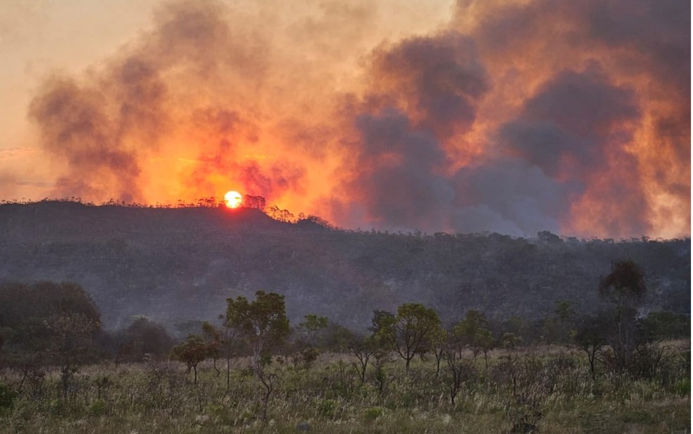 Incêndio no Parque Nacional da Chapada dos Veadeiros em Goiás — Foto: Divulgação/ICMBio