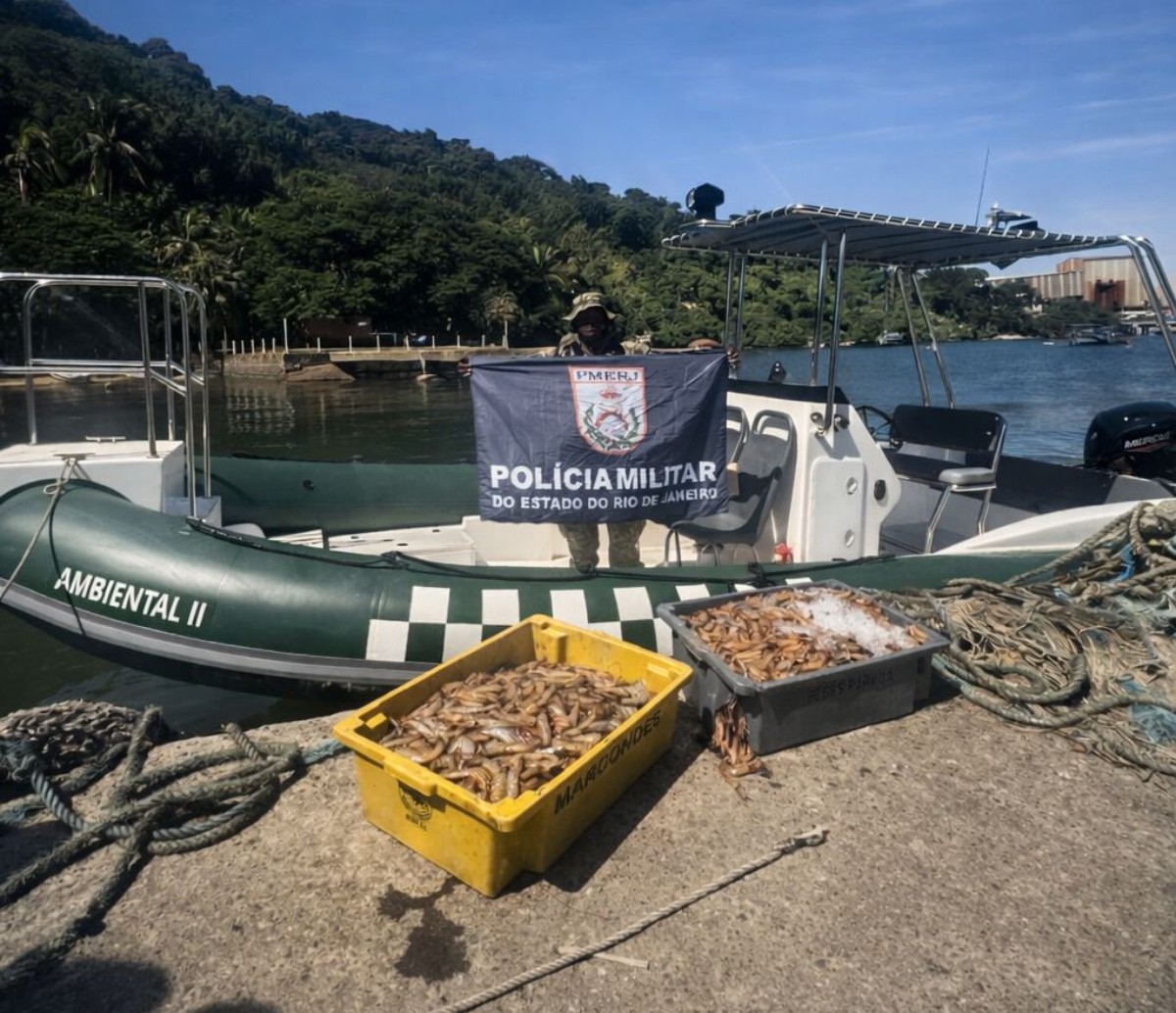 PM apreende 100 kg de camarão em ação contra pesca ilegal em Angra dos Reis