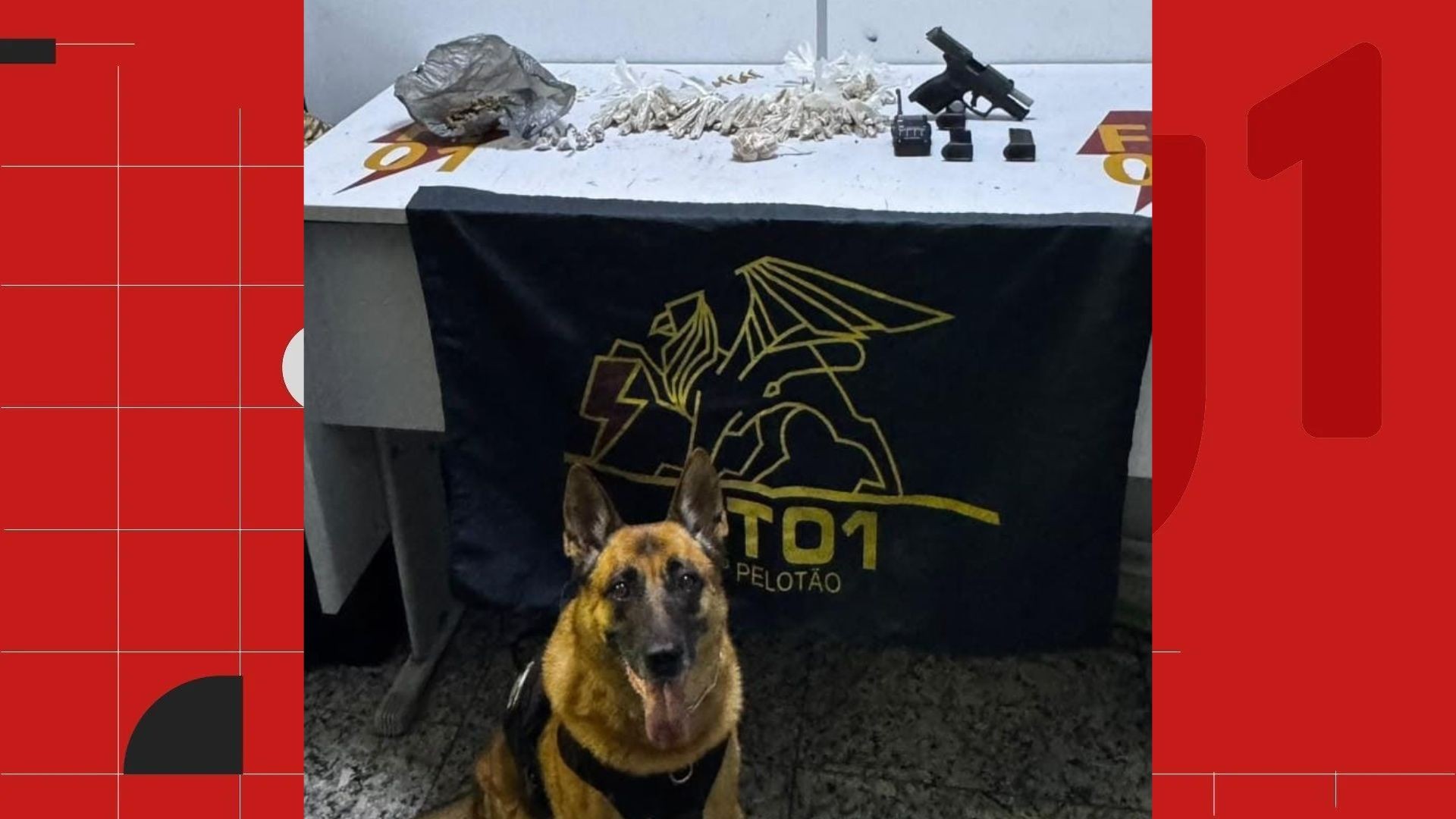 Drogas, armas, munições e rádio comunicador são encontrados dentro de túmulo em cemitério de Vitória