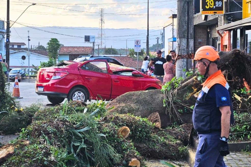 &Aacute;rvore cai sobre carro com pai e filho dentro em Itanha&eacute;m (SP) &mdash; Foto: Rodrigo Nardelli/TV Tribuna