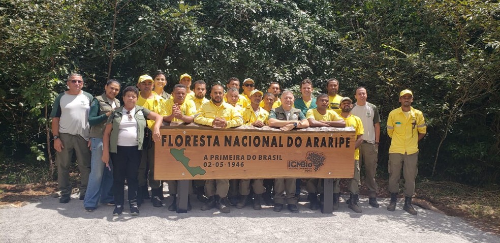 Primeira floresta nacional do Brasil, localizada no Ceará, completa 79 anos de criação. — Foto: Reprodução
