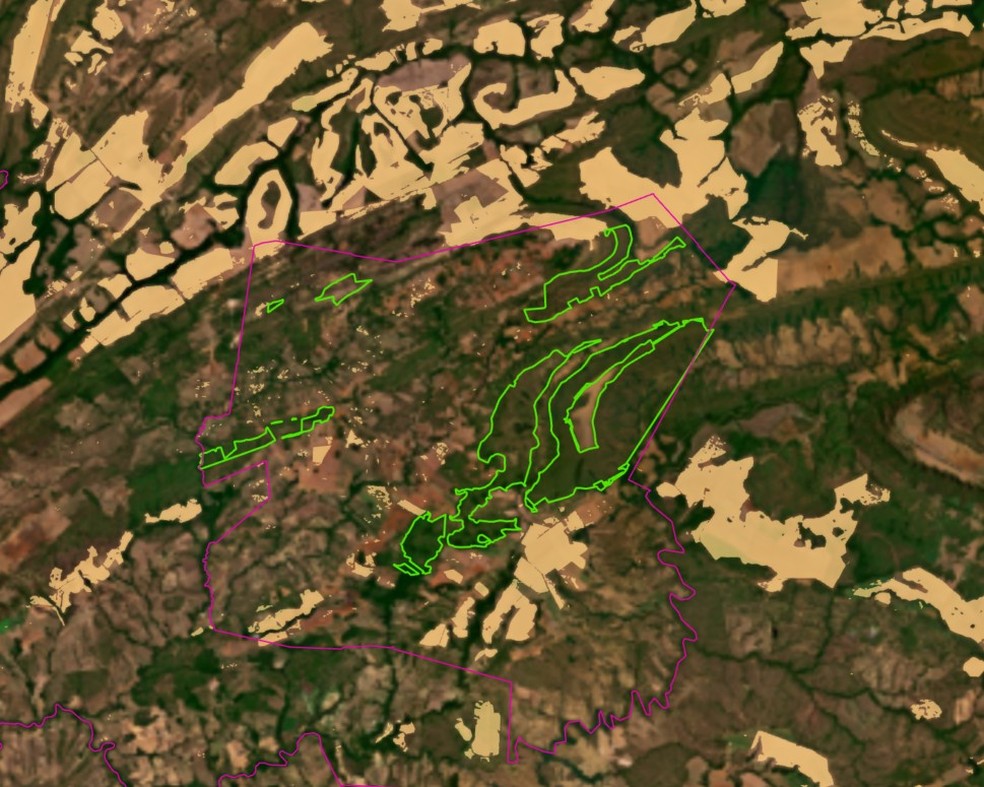 A expansão da soja, representada na cor bege, avança sobre áreas que antes eram vegetação nativa — Foto: Prodes/Inpe