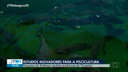 Pesquisa da Embrapa ajuda produtores de peixes a melhorarem serviços