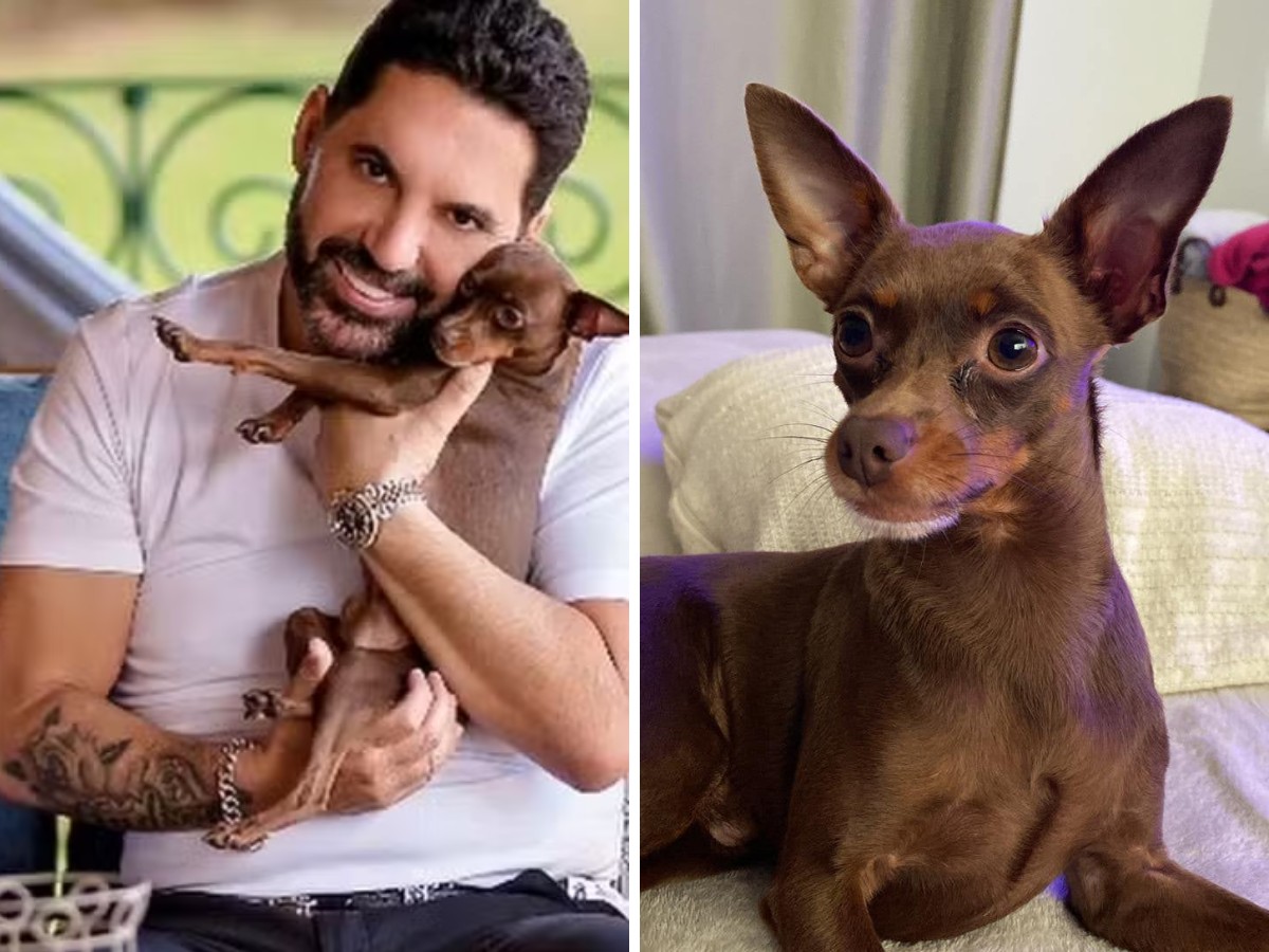 'Pelo amor de Deus, devolva': Edson, dupla com Hudson, oferece recompensa após cachorro da filha desaparecer