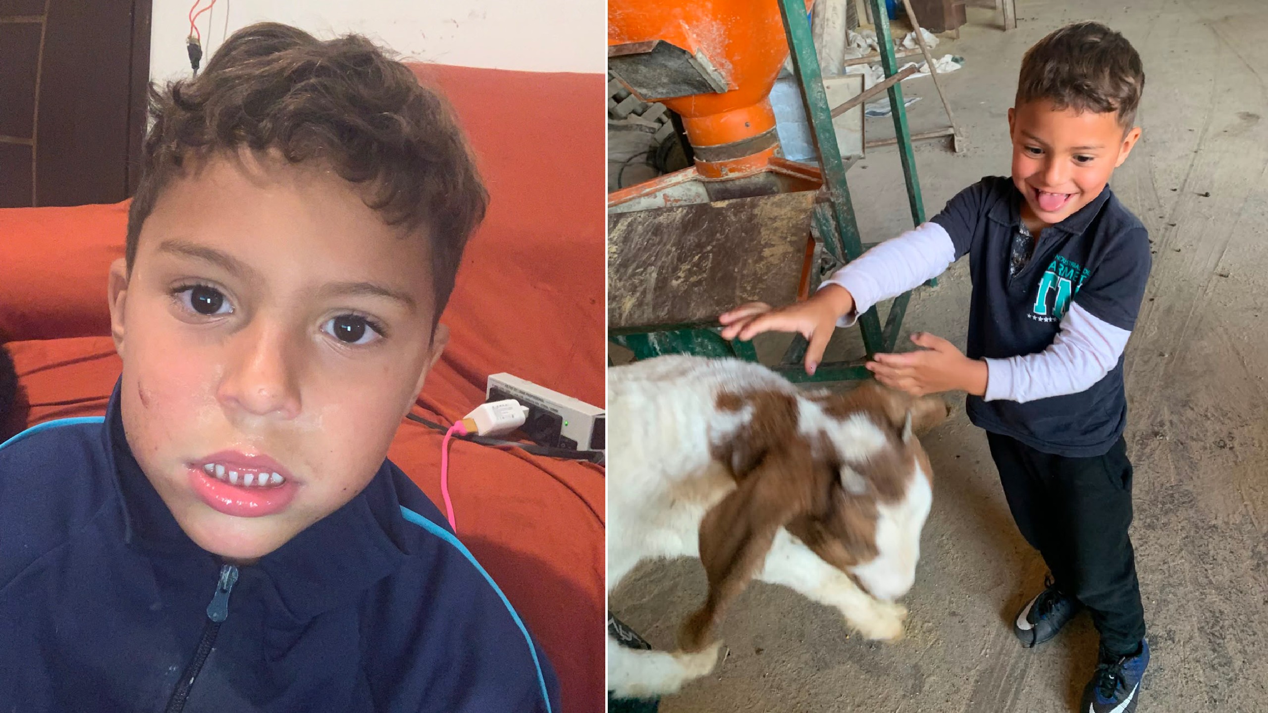 Autista não verbal de 5 anos desaparece em área de mata no Paraná e é procurado pelos bombeiros
