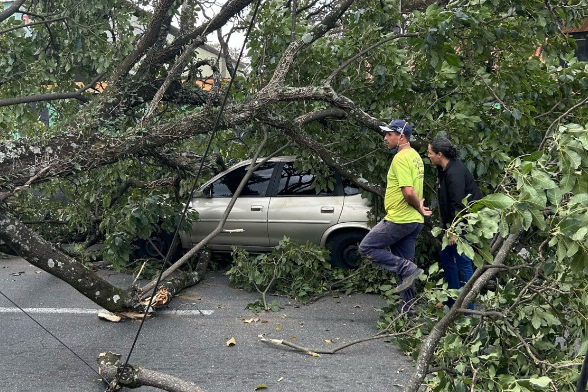 Rajadas de vento de até 90 km/h causam queda de árvores e impactam trânsito em São José e Jacareí