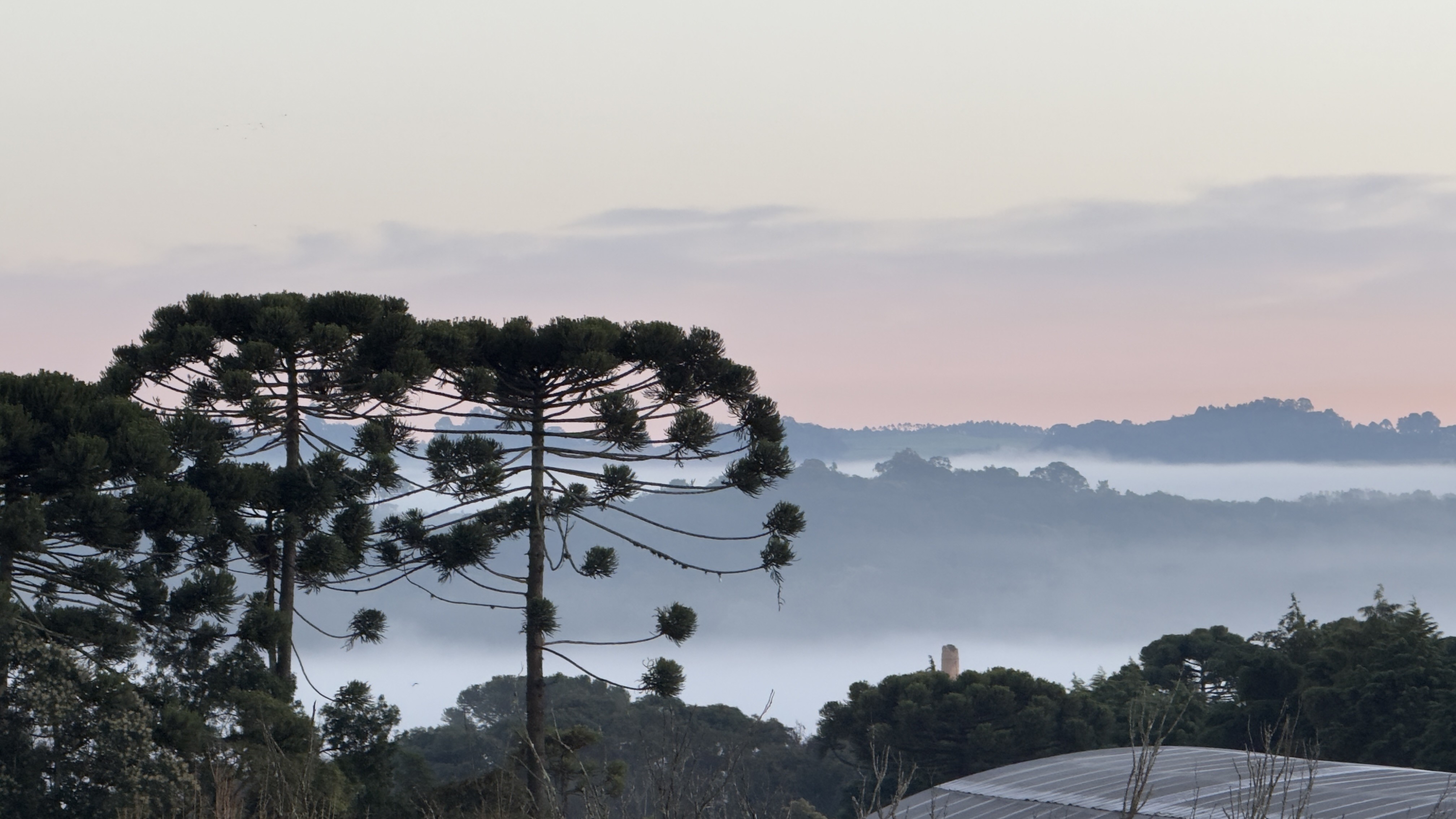 Frio Intenso Chega ao Paraná Após Temporais, Diz Simepar