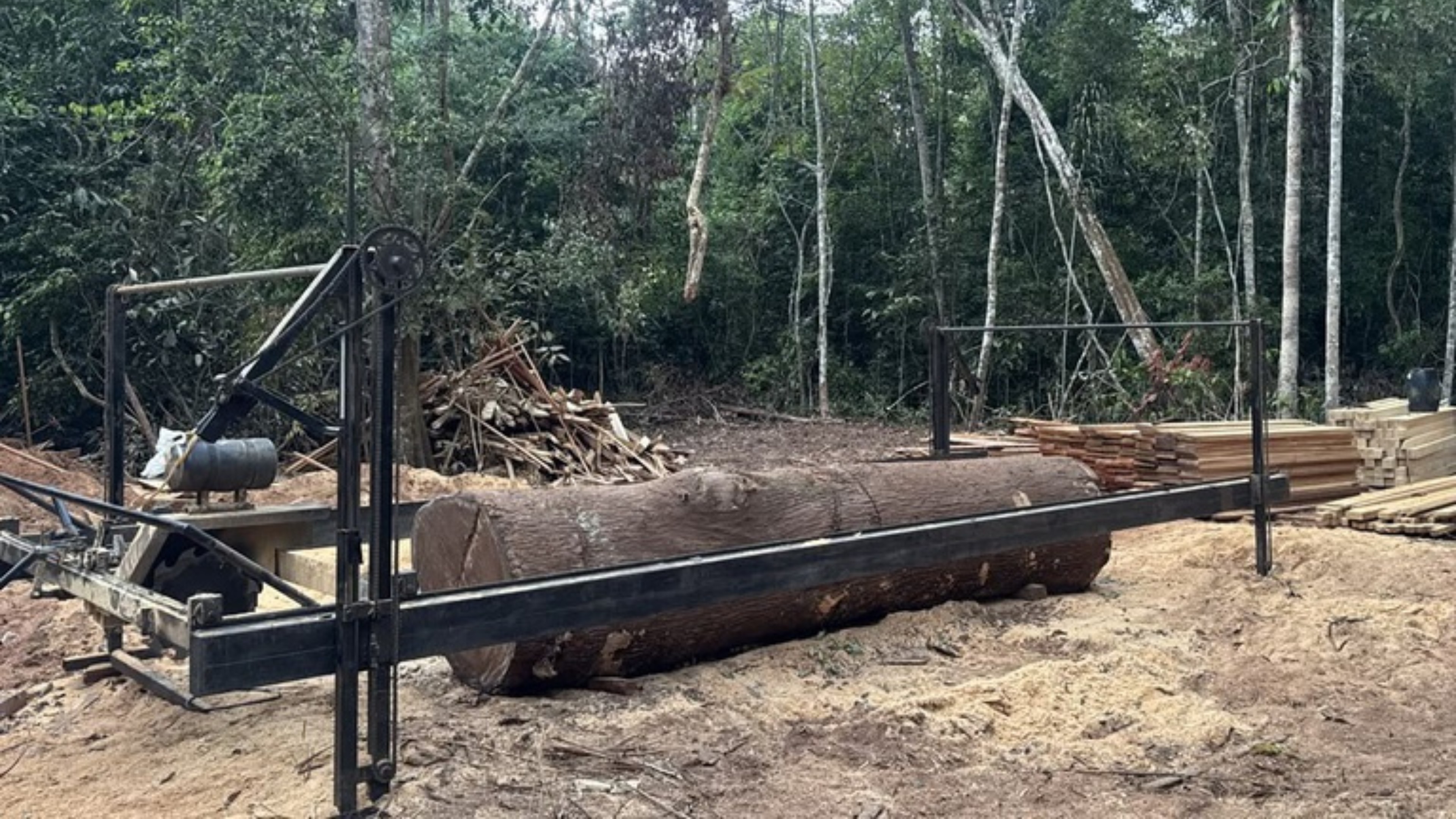 PF destrói acampamento de extração ilegal de madeira em Terra Indígena de RO