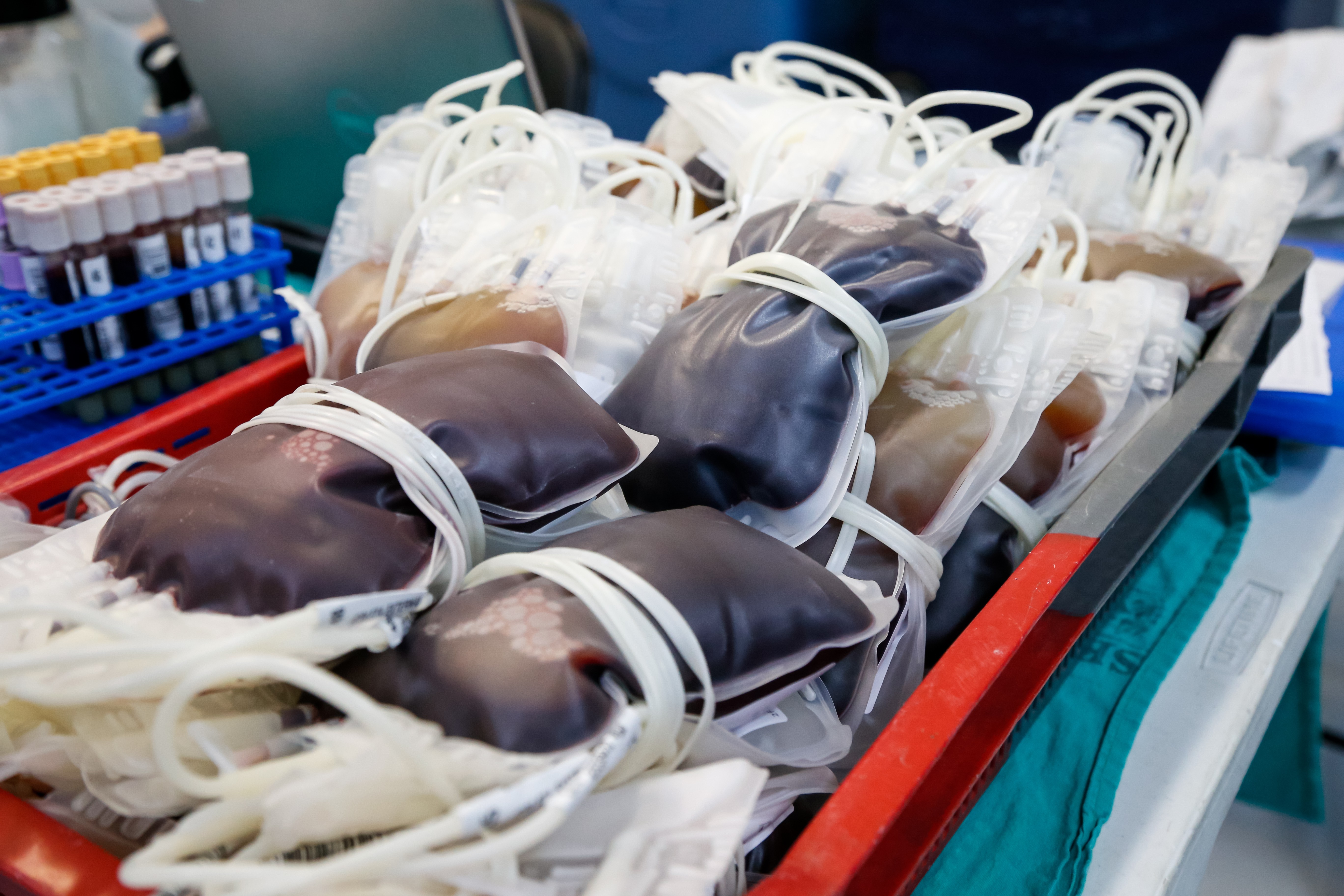 Hospitais municipais na Barra e Irajá promovem doação de sangue