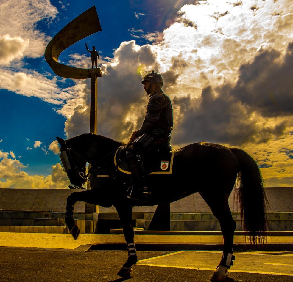 Cavalaria, Exército Brasileiro