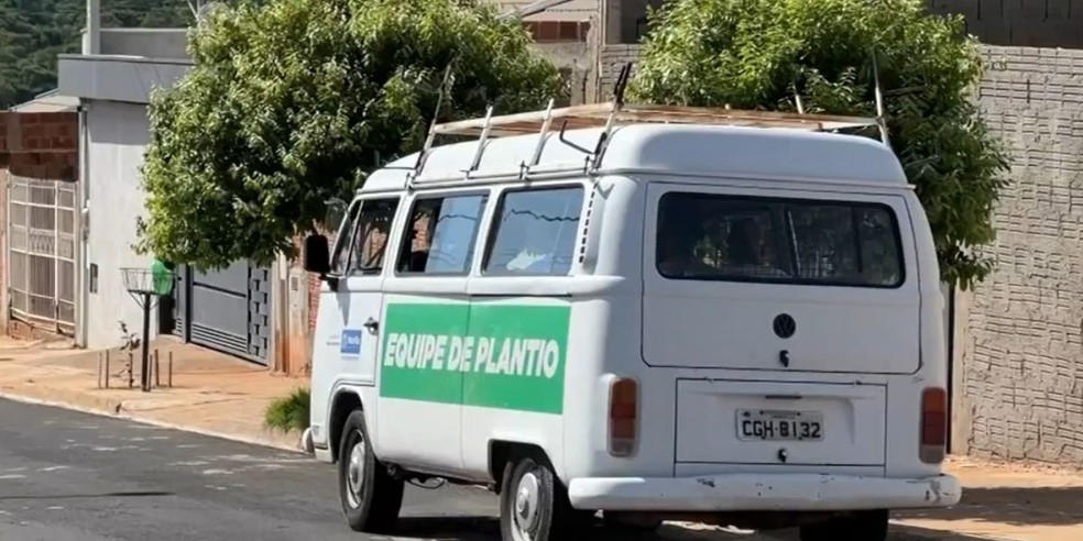 2 de 3
Os moradores entram em contato com a Prefeitura pelo WhatsApp e o órgão envia uma equipe até o local — Foto: Robson do Carmo/TV TEM