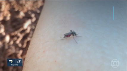 VÍDEOS: MG2 do sábado, 8 de novembro de 2025