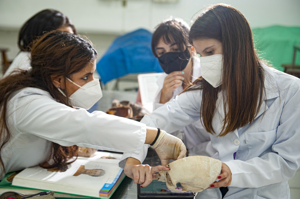 Português: Sala de aula de Anatomia, no Instituto de Artes da